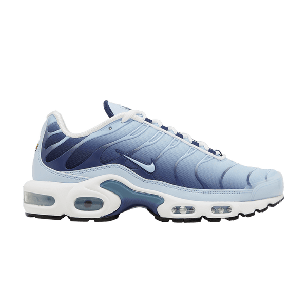 Nike Wmns Air Max Plus 'Celestine Blue'