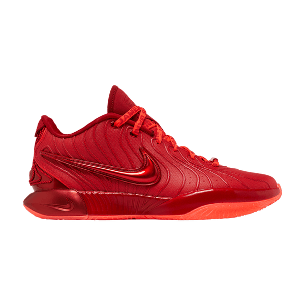 Nike LeBron 21 'James Gang'