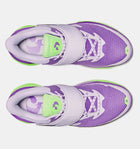 Curry Fox 1 'The Beam'