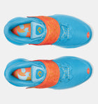 Curry Fox 1 'Happy Fox Day'