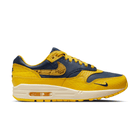 Nike Wmns Air Max 1 Premium 'Michigan Snakeskin'