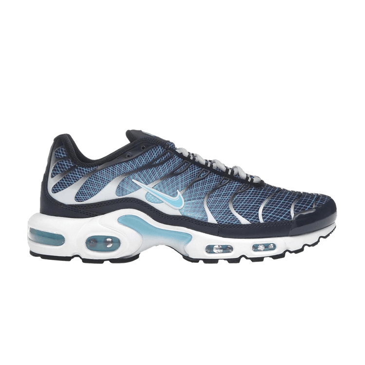 Nike Air Max Plus 'Dark Obsidian'