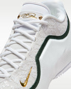 LeBron XXIII 'Point Forward' EP