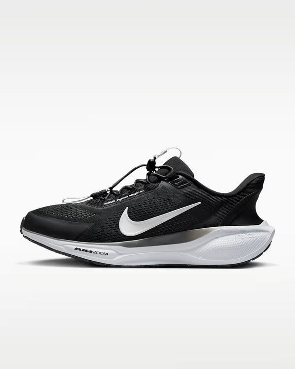 Nike Pegasus EasyOn Men's Road Running Shoes (FQ7837-002)