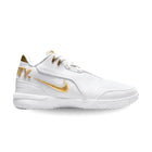 Nike Zoom LeBron NXXT Gen AMPD Equity FJ1567-103