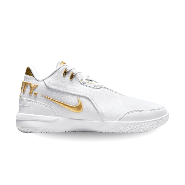 Nike Zoom LeBron NXXT Gen AMPD Equity FJ1567-103