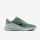 Nike Flex Train 'Steam Light Silver' (W)