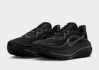 Nike Winflo 12 'Black' (HV9272-001)
