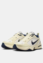 Nike Air Monarch IV Workout Shoes 'Coconut Milk/Obsidian/Sail/Black'