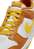 Nike Dunk Low Retro Men's Shoes